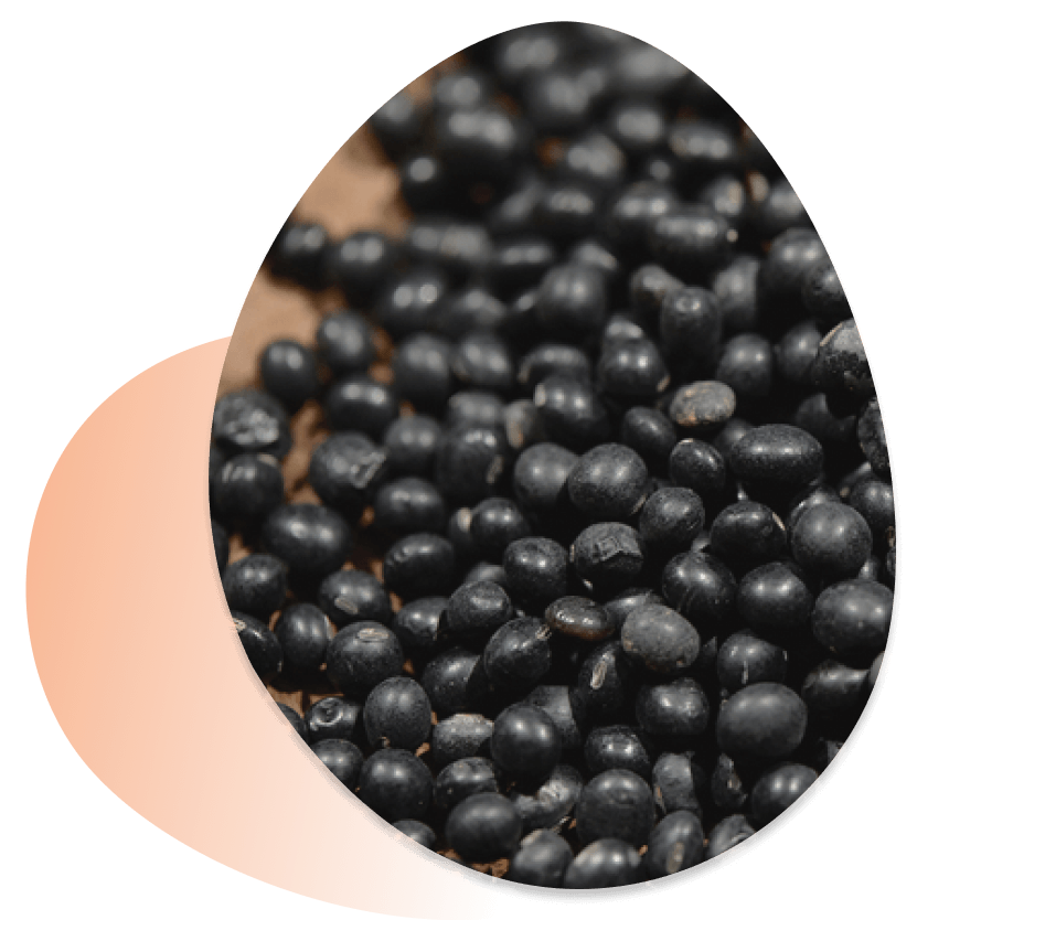 Soybean Panthenol Mask