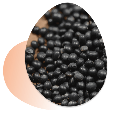 Soybean Panthenol Mask