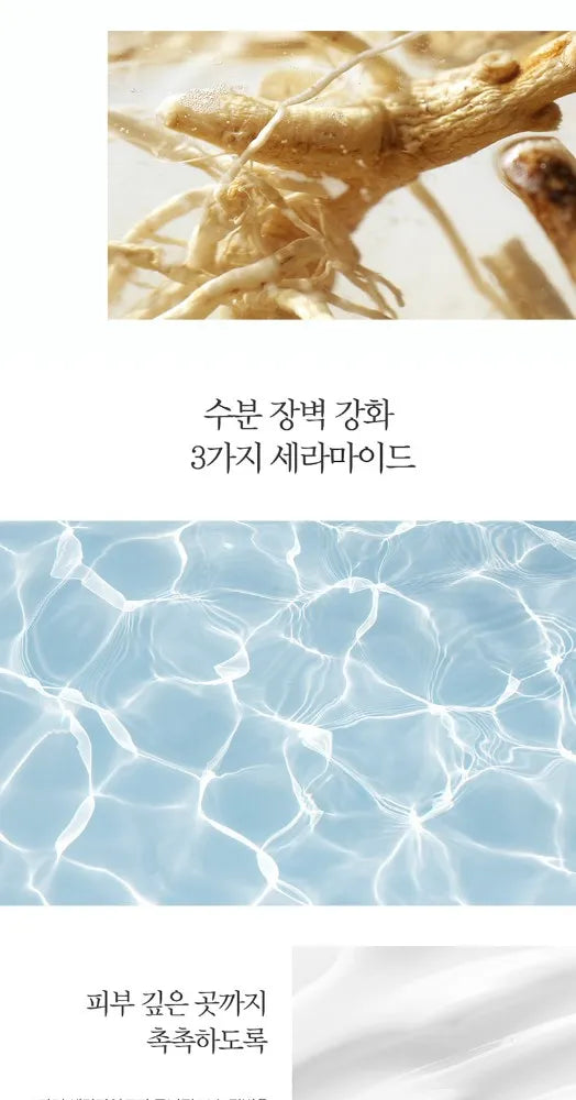 Pyunkang Yul Concentrated Eye Cream
