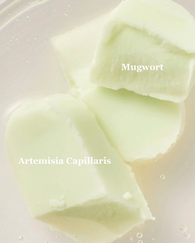 Matte Sun Stick : Mugwort + Camelia (SPF50+ PA++++)