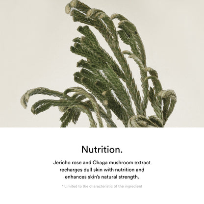 Jericho Rose Cream Nutrition Tube