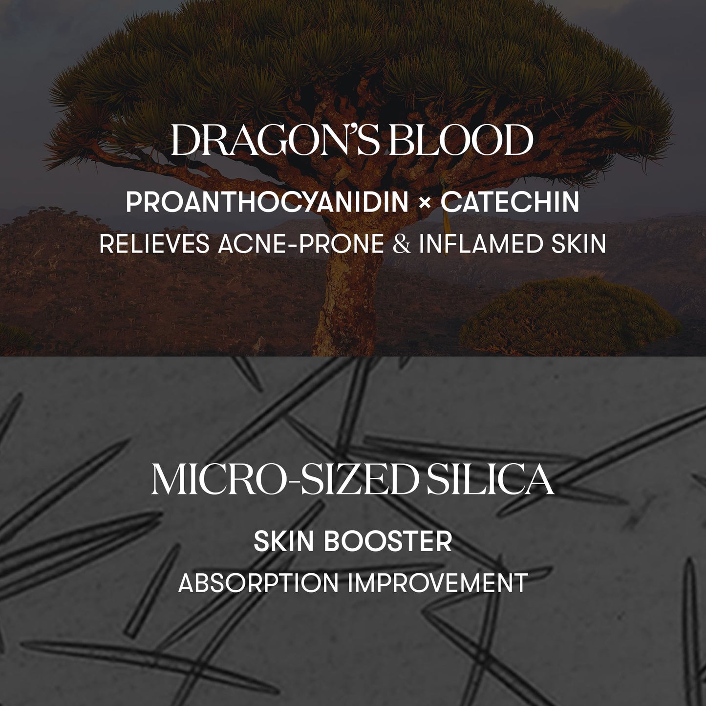 VT cosmetics red booster reedle shot 100 50ml